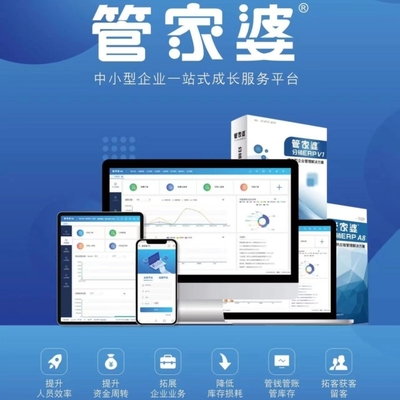 管家婆软件 企业财务与进销存管理的智慧之选