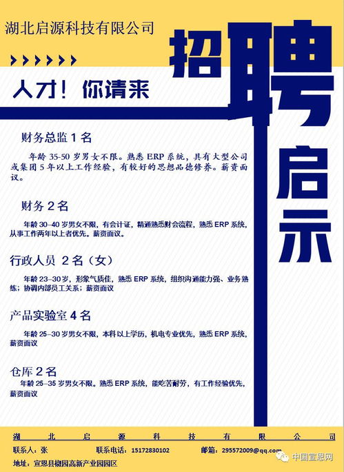 财务部门 企业稳健运营的核心支柱——从招聘需求看财务管理的重要性